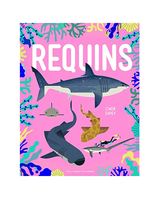 Livre Requins