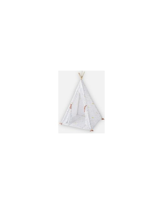 Tipi dinosaures en popeline