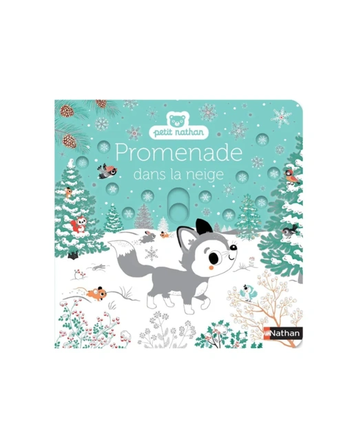 Livre Promenade dans la neige