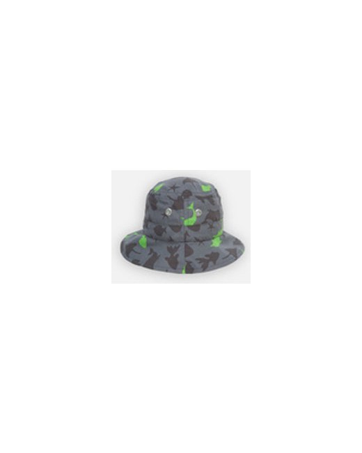 Fish Chapeau Archimède