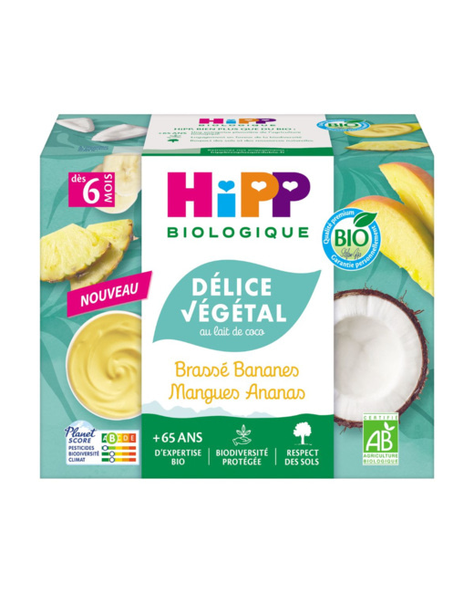 Brassé végétal au lait de coco Banane Mangue Ananas Bio