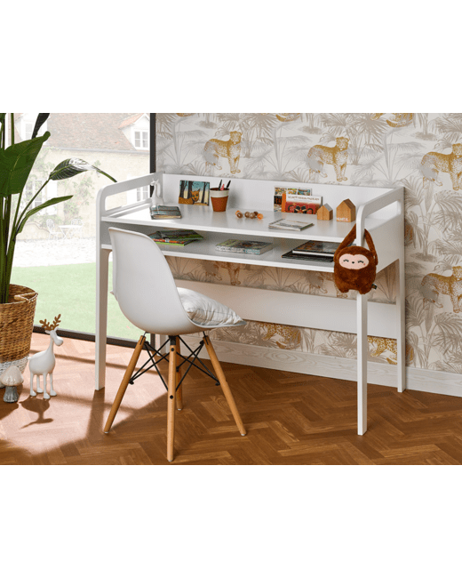 Bureau enfant Féroé