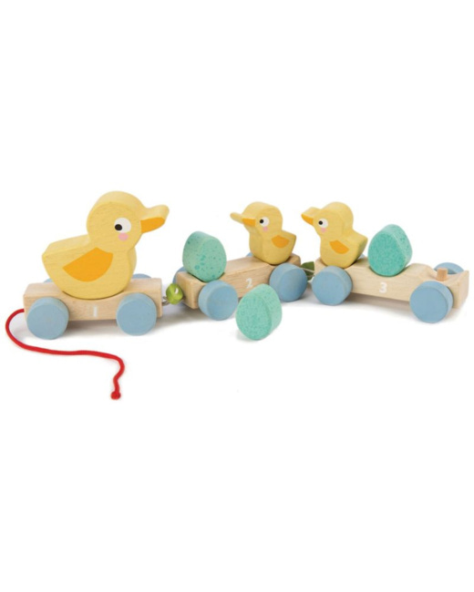 Canards à tirer