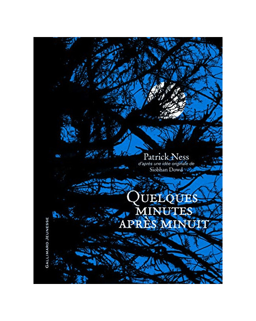 Livre Quelques Minutes Apres Minuit