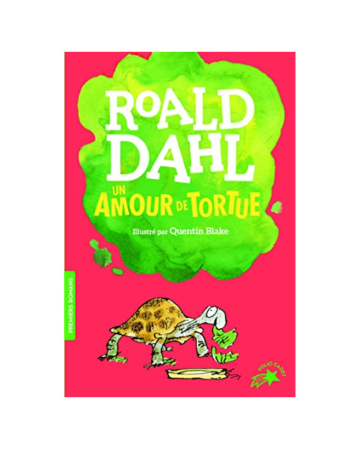 Livre Un Amour De Tortue