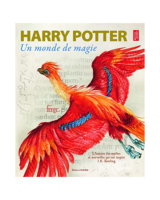 Livre Harry Potter Un Monde De Magie