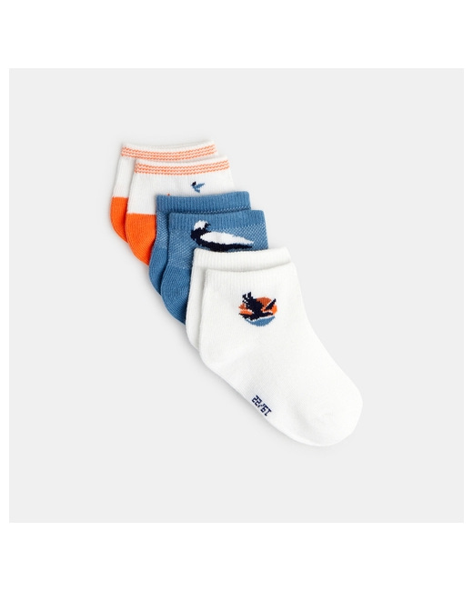 Chaussettes oiseaux (lot de 3)