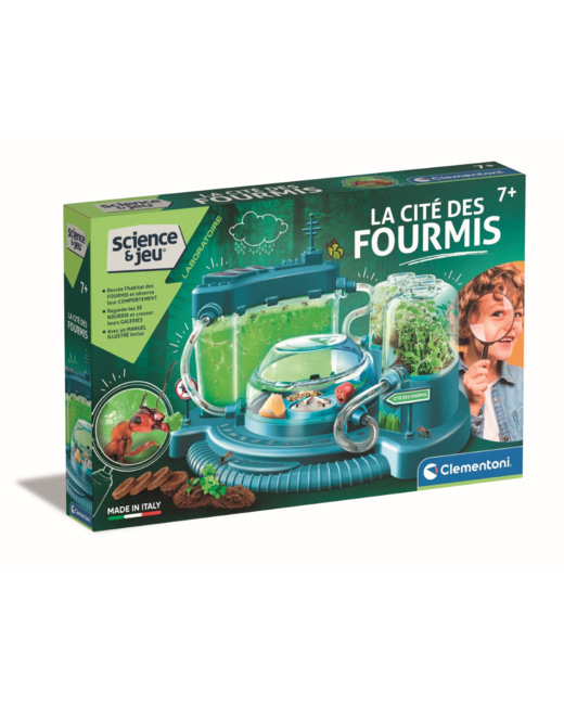 La cité des fourmis