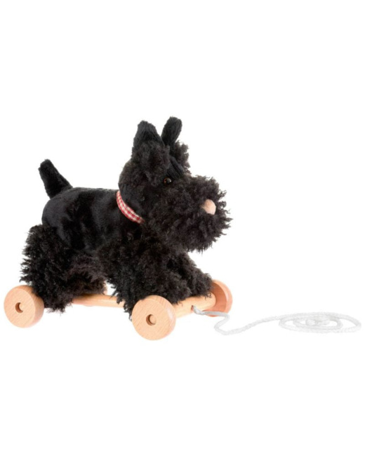 Walter le chien à tirer