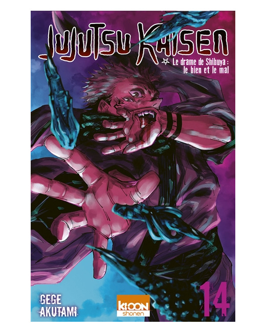 Jujutsu Kaisen Tome 14