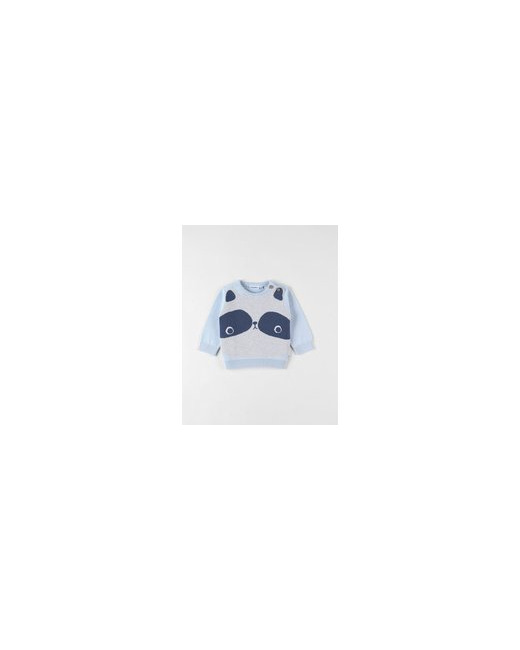 Pull raton laveur en coton