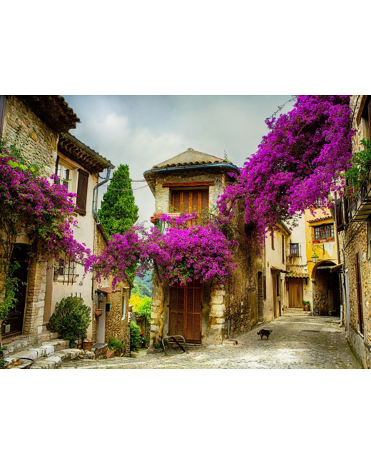 Puzzle Provence, France