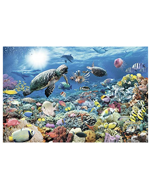 Puzzle - Monde marin - 5000 pièces