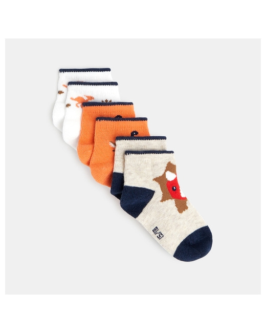 Chaussettes dinosaures (lot de 3)