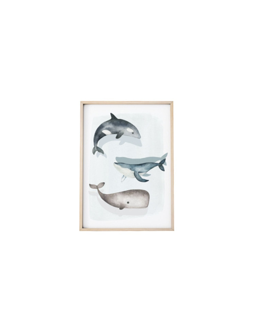 Image Baleine