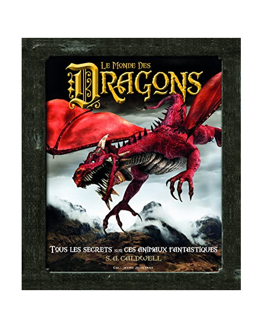 Livre Le Monde Des Dragons