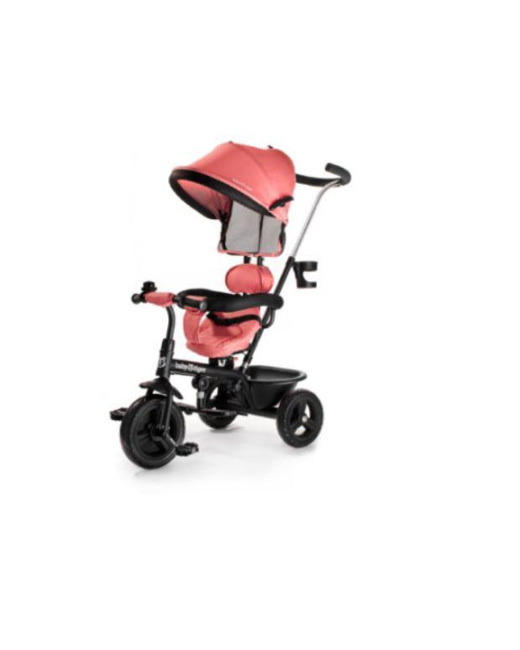 Tricycle 2 en 1 Baby Tiger Fly