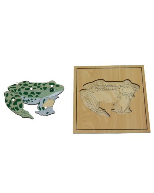 Puzzle de la grenouille avec squelette