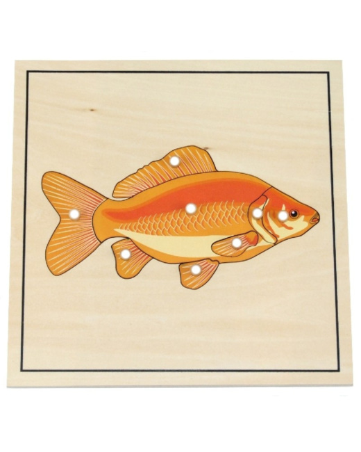 Puzzle du poisson avec squelette