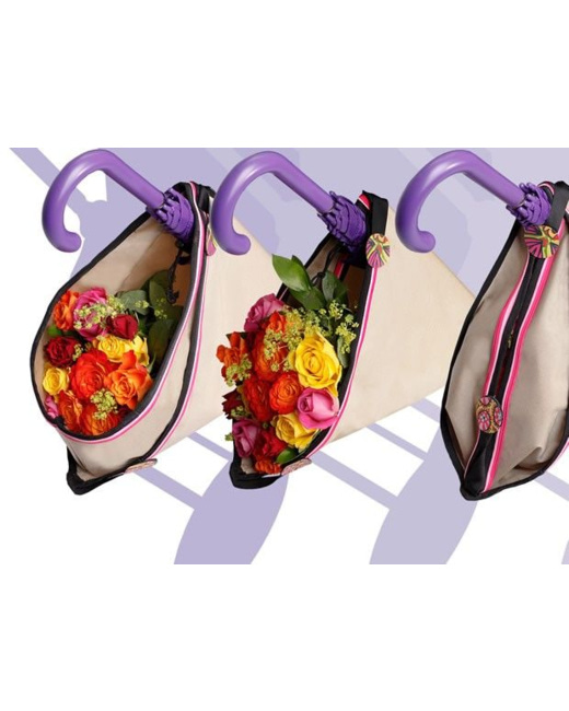 Sac universel Stroller Frame Bag