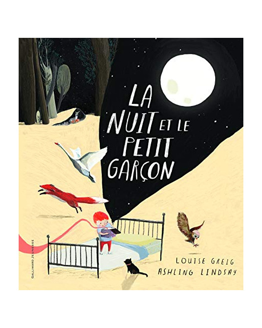 Livre La Nuit Et Le Petit Garcon