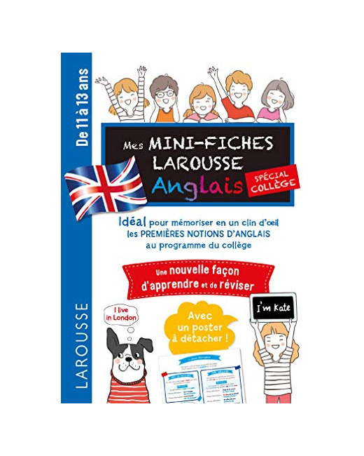 Mini fiches spécial anglais (college)