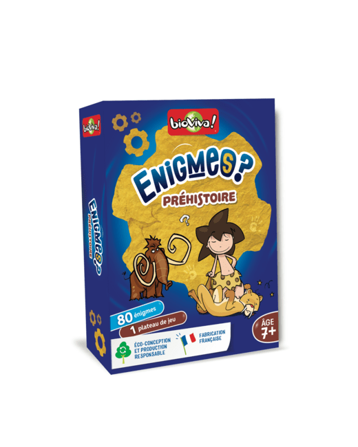 Jeu éducatif Enigmes - Préhistoire