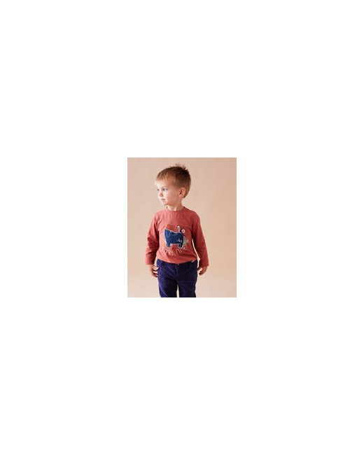 T-shirt en coton BIO éléphant