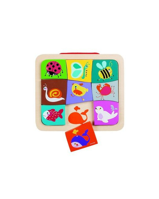 Magnéto Puzzle
