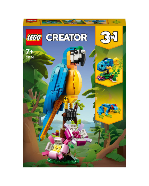 Le perroquet exotique Creator