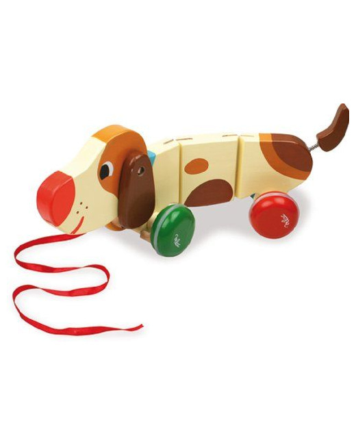 Basile le Chien saucisse à soufflet Mélusine