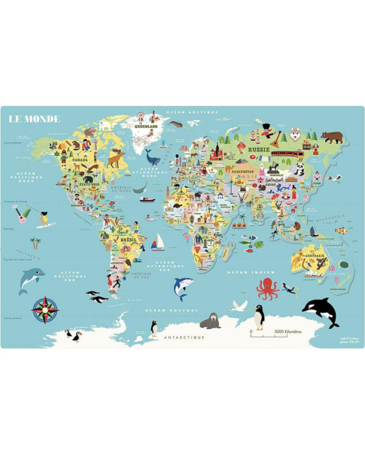 Carte du monde magnétique Ingela P. Arrhenius