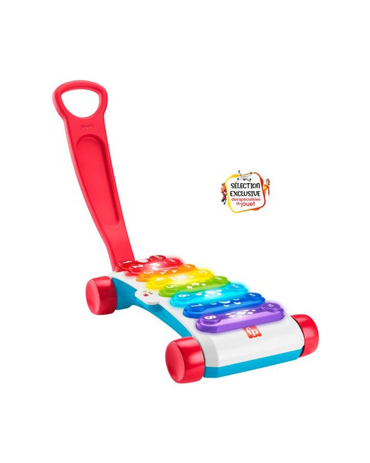 Xylophone Géant