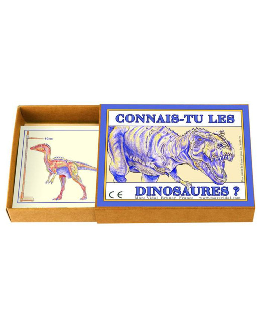 Connais-tu les dinosaures ?