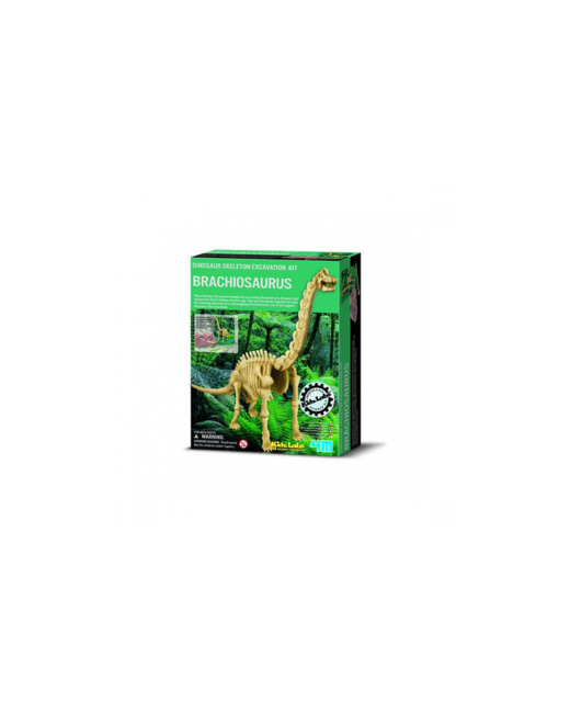 Kit de fouille Brachiosaurus