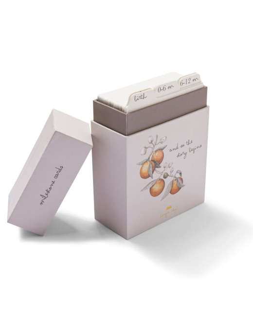Cartes étapes illustrées