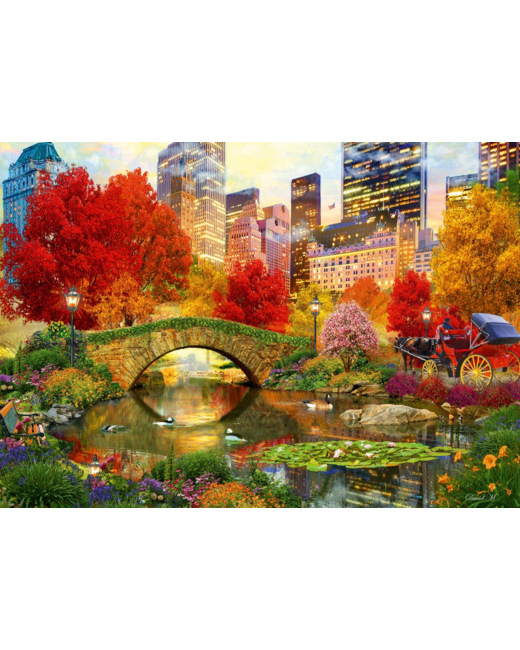 Puzzle Central Park NYC