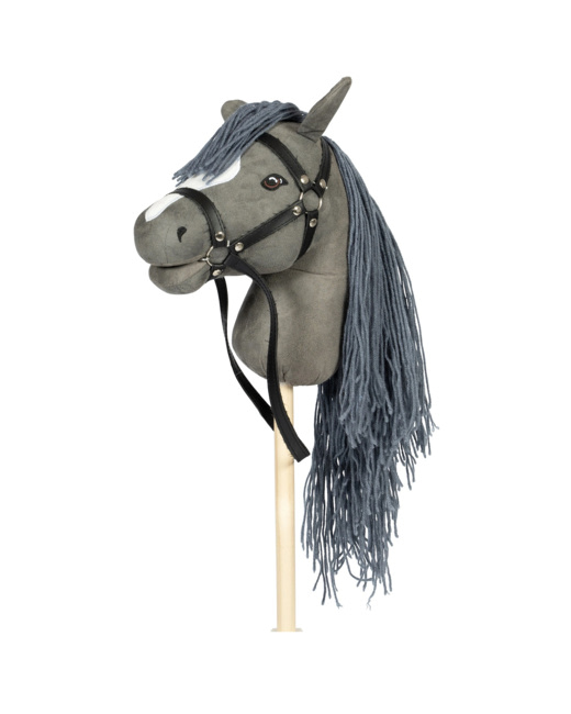 Tête de cheval à chevaucher