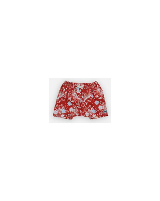 Baia Boxer Bébé Archimède