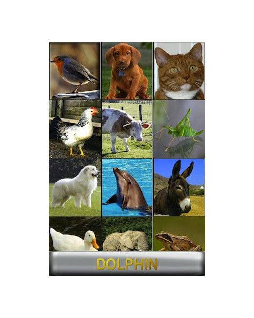 Vocal Zoo pour iPhone
