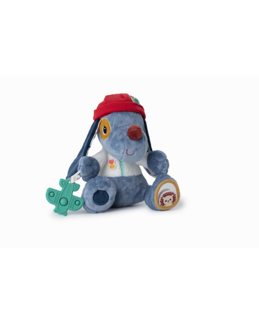 Chien multi-activités Jules