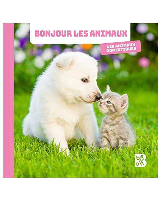 Livre Bonjour les animaux - Les animaux domestiques