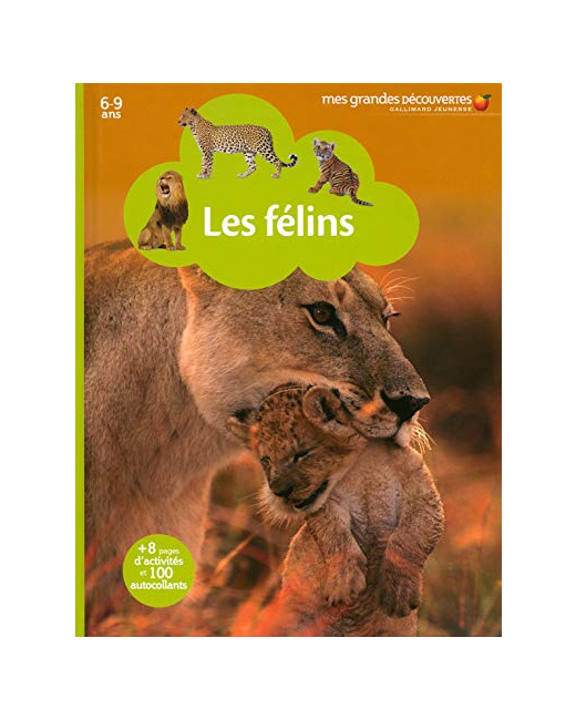 Livre Les Felins