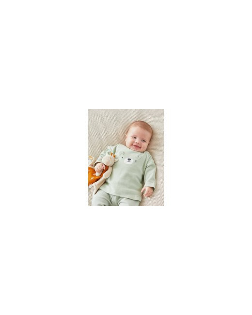Set de 2 t-shirts en coton bio