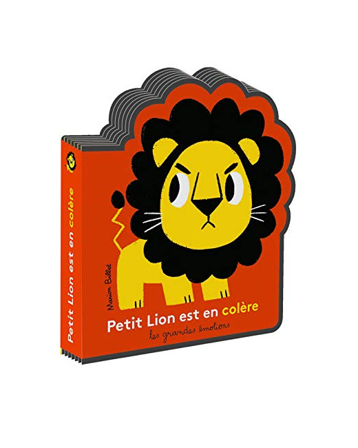 Livre Petit Lion Est En Colere