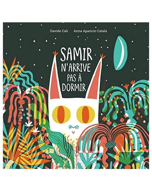 Livre Samir N'Arrive Pas A Dormir