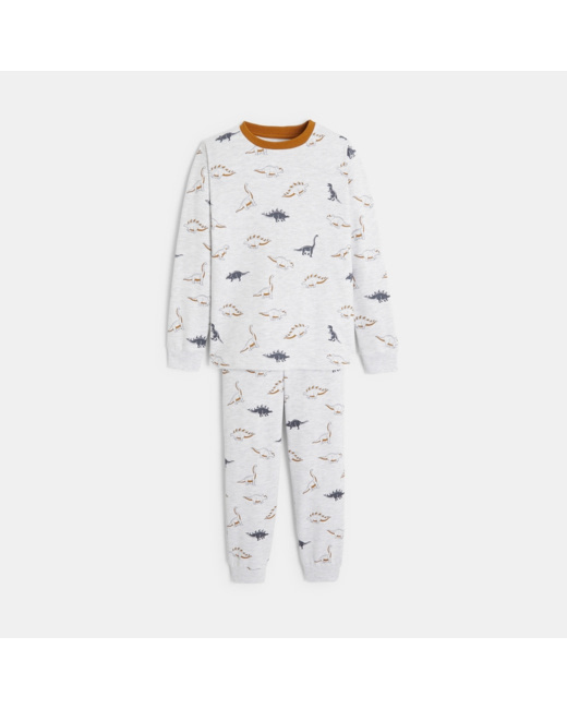 Pyjama 2 pièces en jersey motifs dinosaures gris garçon