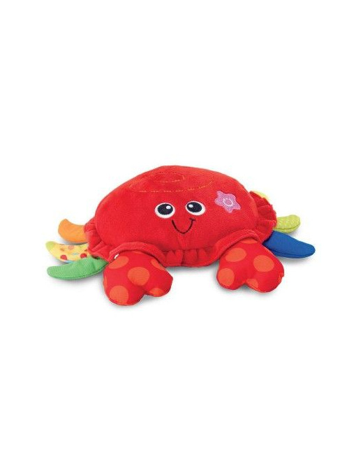 Mon crabe se balade