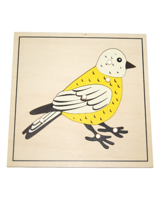 Puzzle de l'oiseau