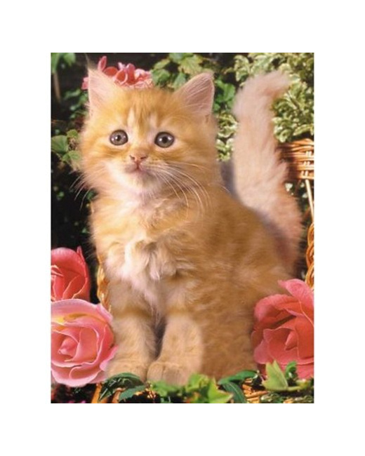 Puzzle - Chat - 300 pièces